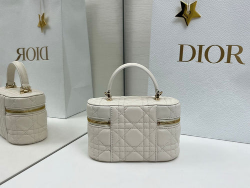 Bauletto Dior